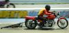 Filename=DSC_2281.jpg
Filesize=302KB
Dimensions=1000x481
Date added=May 28, 2006 DSC_2281.jpg